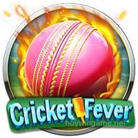 Portada de Cricket Fever