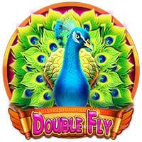 Portada de DoubleFly